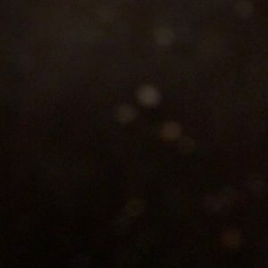 Meet your Posher, Zackery